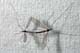 Gonomyia